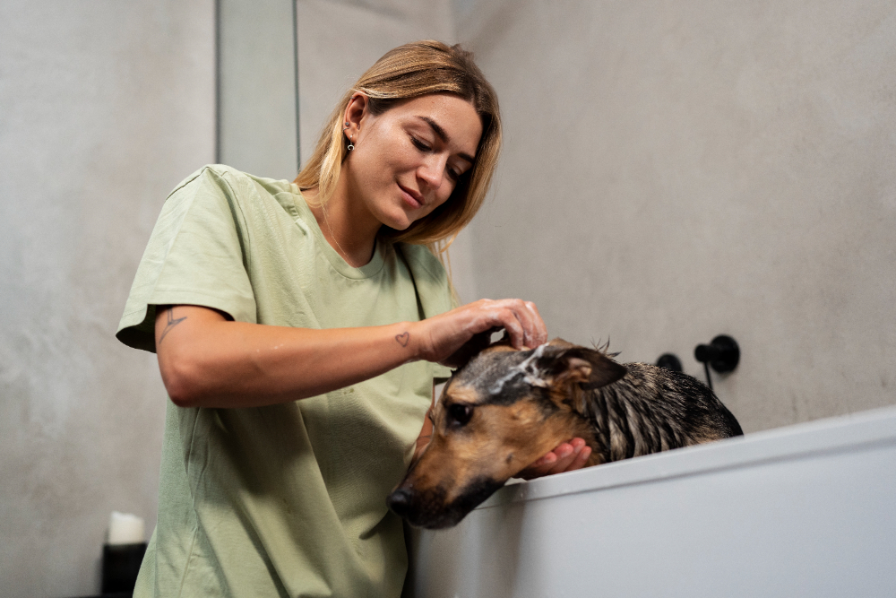 Como bañar a un perro grande
